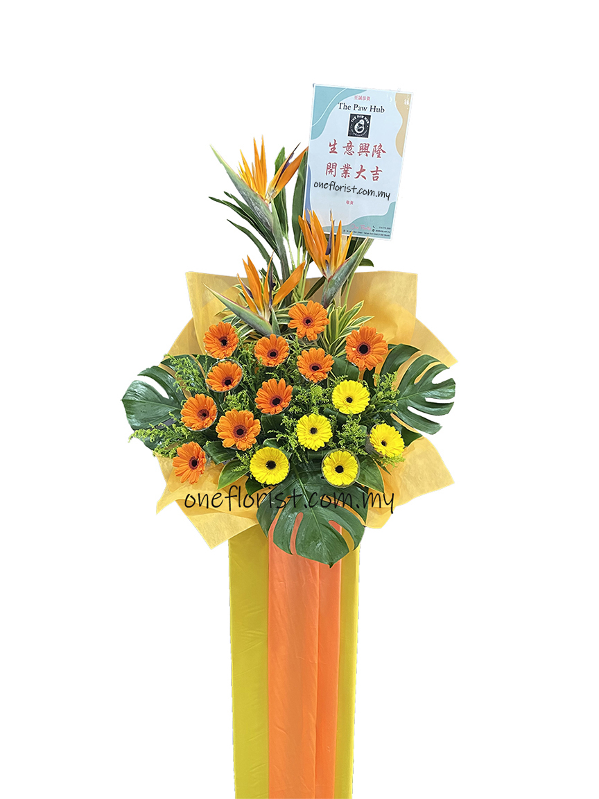 Opening Flower stand orange yellow 